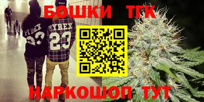 соль ск Моздок